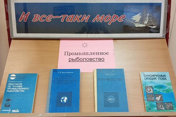 Пункт обслуживания ММРК представляет цикл книжных выставок «И все-таки море»